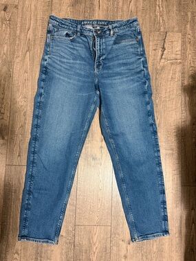 American Eagle Outfitters Women's Medium Blue Mom Jeans